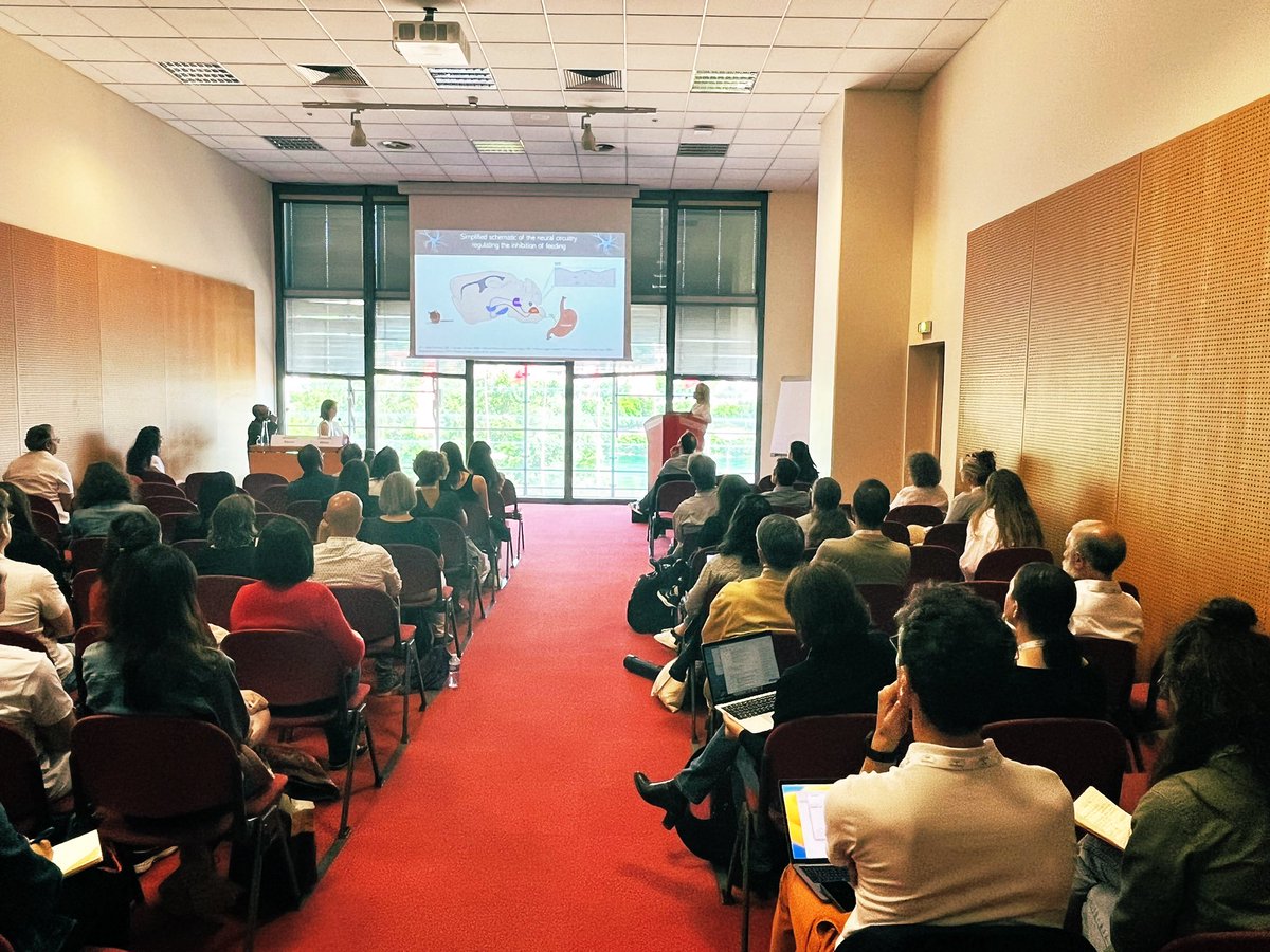 Lille Neuroendocrinology (@neuroendolille) on Twitter photo Full room for @NeuroEndo_Ex talk at the <a href="/SocNeuro_Tweets/">Société des Neurosciences</a> #Neurofrance2023 symposium on state-dependent neural plasticity in the control of appetite and metabolism organized by <a href="/blouetlab/">Clemence Blouet</a> and <a href="/AlexBenani/">Alex Benani</a> Full room for @NeuroEndo_Ex talk at the <a href="/SocNeuro_Tweets/">Société des Neurosciences</a> #Neurofrance2023 symposium on state-dependent neural plasticity in the control of appetite and metabolism organized by <a href="/blouetlab/">Clemence Blouet</a> and <a href="/AlexBenani/">Alex Benani</a>