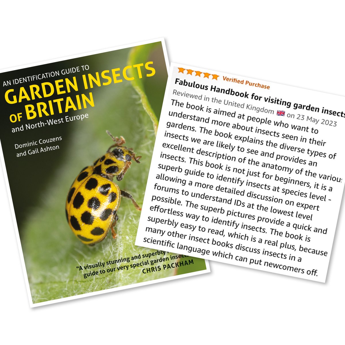 JB_Publishing's tweet photo. The latest brilliant review for 'An Identification Guide to Garden Insects of GB & North-West Europe' by @DominicCouzens and @gailashton
@amazon
#bookreview #gardeninsects #identificationguidetogardeninsects #guidebooks #naturalhistory #insectweek #insects #britishinsects https://t.co/UaSjKOe6U8