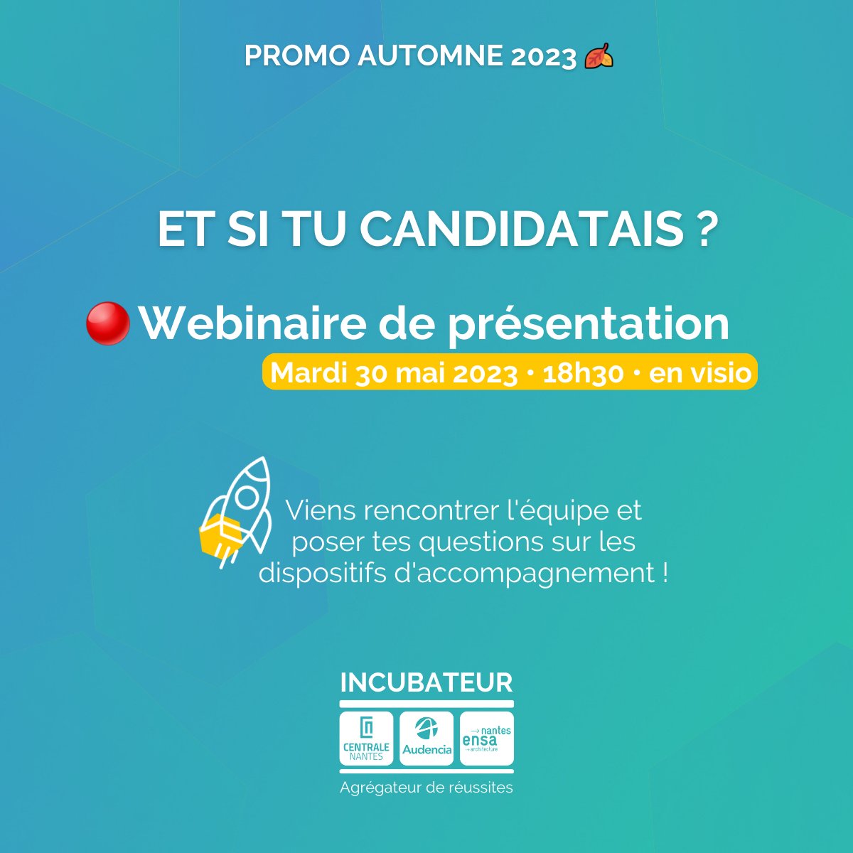 Incubateur Kivo tweet media