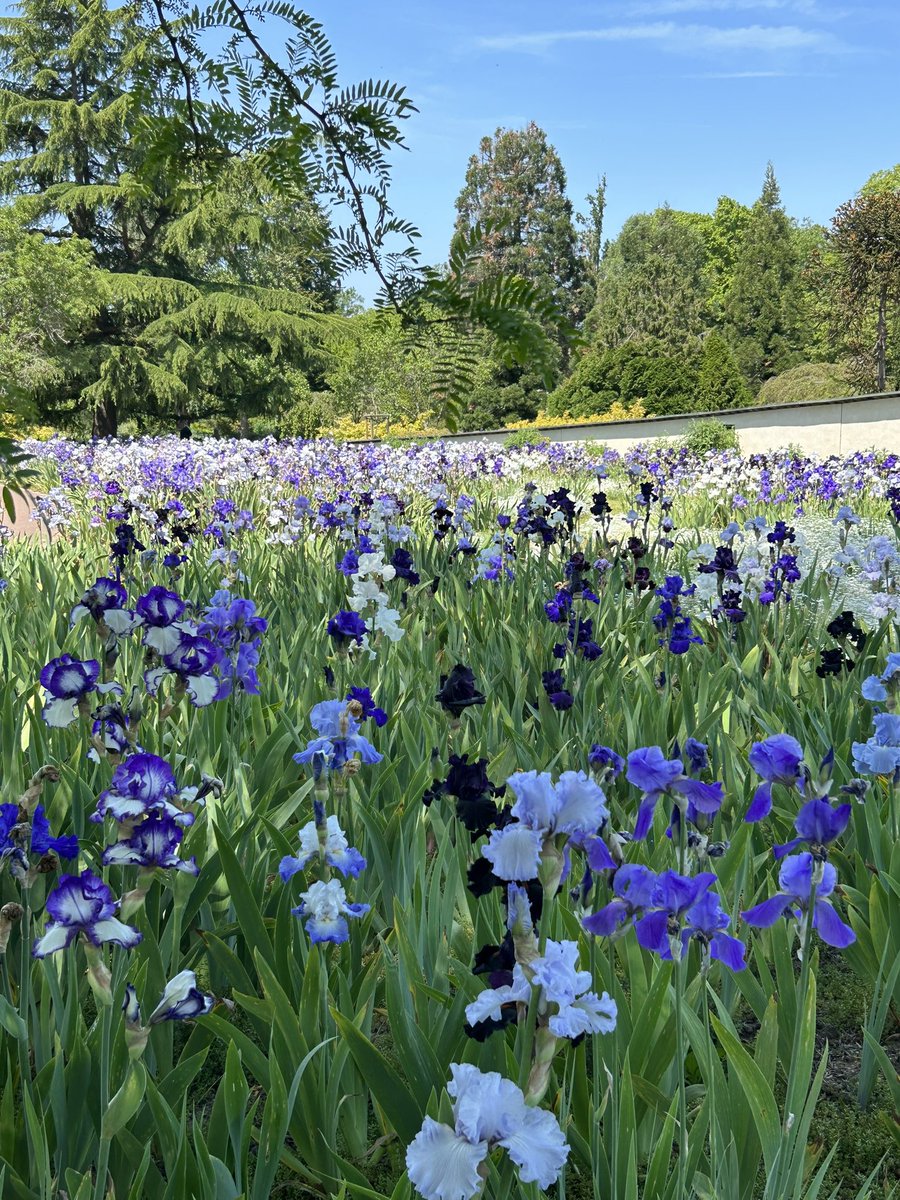 Sophie Ferracci tweet media