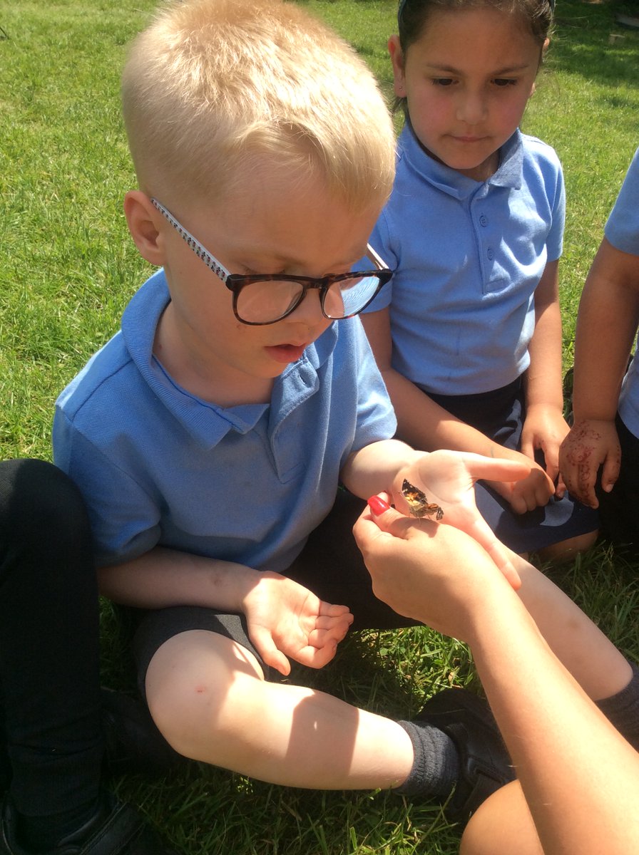 What an exciting afternoon in Reception, we released our butterflies!!