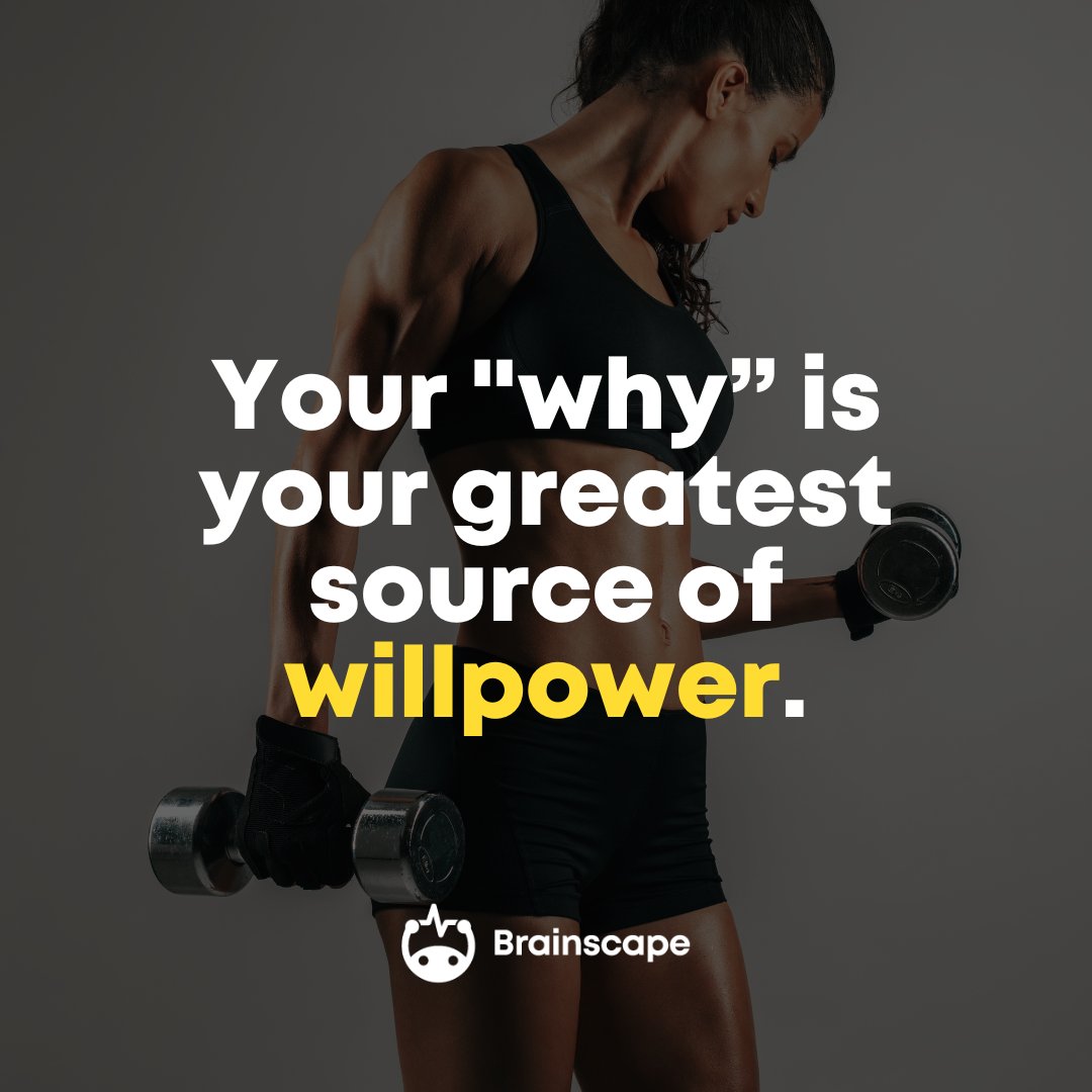 Brainscape's tweet photo. Don’t let anything stand in the way of going after what you want! Your “why” is your greatest source of willpower, so get out there and make it happen! #powerofwhy #nevergiveup💪 #habits https://t.co/p0L5kEttbN