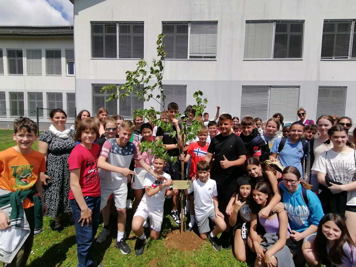 OSsencur's tweet image. Na koncu smo posadili drevo prijateljstva pri šolskem čebelnjaku. Naj raste in se razvija kot naše prijateljstvo!
#Cmepius #erasmus #frienship #plantingatree #ossencur