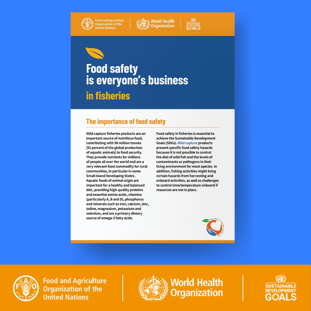 🗞️ | Good news❗️Four new leaflets have been published by @FAO and @WHO as part of the campaign for #WorldFoodSafetyDay

👉 The leaflets are aimed at producers in the aquaculture, dairy, fisheries and horticulture sectors.

📲➡️ bit.ly/3MYiTSI

➖9⃣