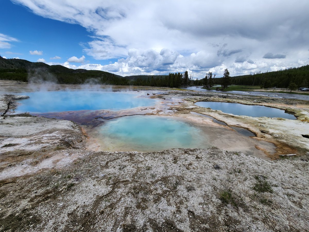 TheyCallMeTimm_ tweet media