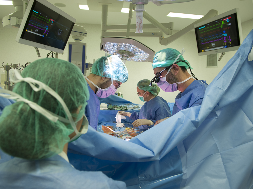 En només 3 dies, professionals de Cirurgia Cardíaca, Anestèsia i Infermeria han superat un veritable repte amb 6 intervencions d'alta complexitat: 🫀 2 trasplantaments cardíacs; 1 cor artificial; 1 trencament de vàlvula mitral i 2 disseccions aòrtiques
#orgullbellvitge 💪