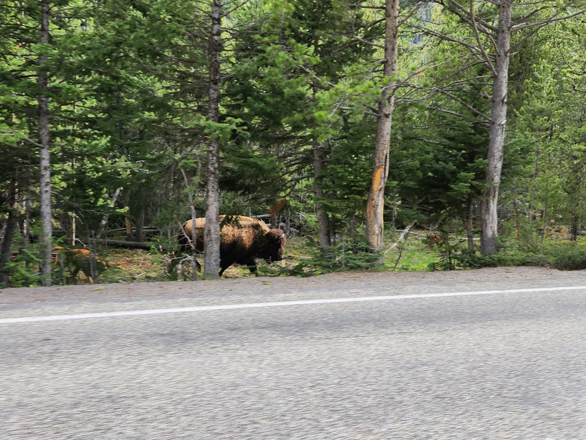 TheyCallMeTimm_ tweet media