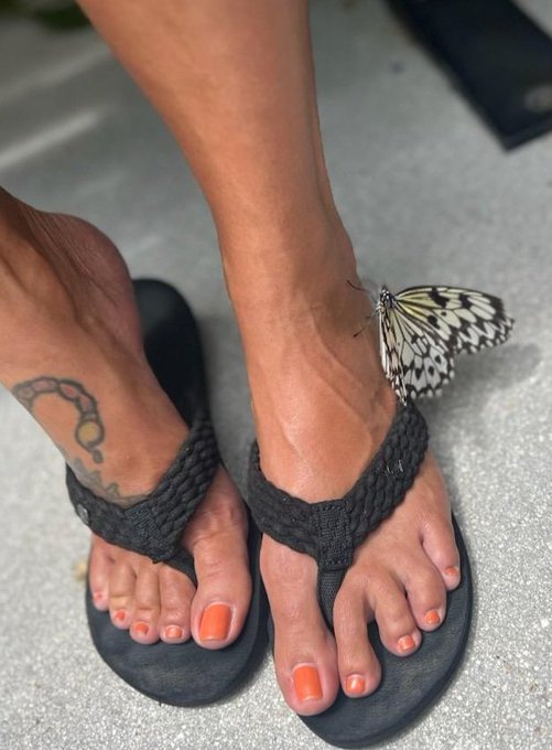 I have a visitor 🦋😍 https://t.co/e3xCWFRsF6