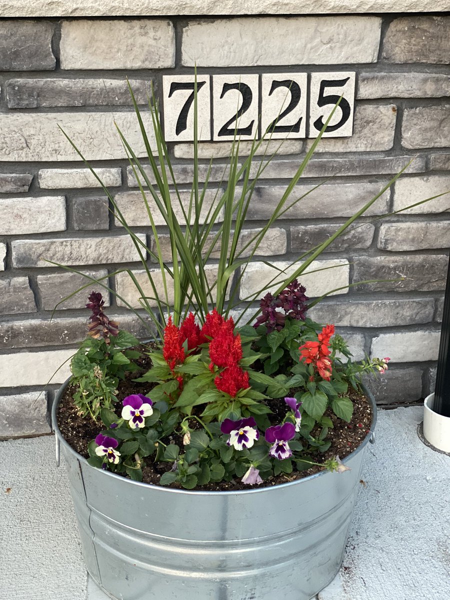 SammiWangsness's tweet photo. Tjw said I needed to get a hobby that was relaxing ish.
Long story short it couldn’t be work, growing corn, working out, naps, eating, or reading books…so I planted flowers aaaand have attempted a garden.
Things have already died, twice. #shitllbuff https://t.co/XwYq51Mqi5