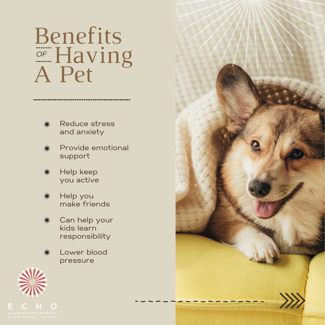 Echo is the perfect place for you and your pets to call home!
#EchoatNorthPointCenter #FogelmanProperties #PetFriendlyApartments #PetFriendlyCommunity #FurryFriendFriday #LuxuryApartments #AlpharettaApartments