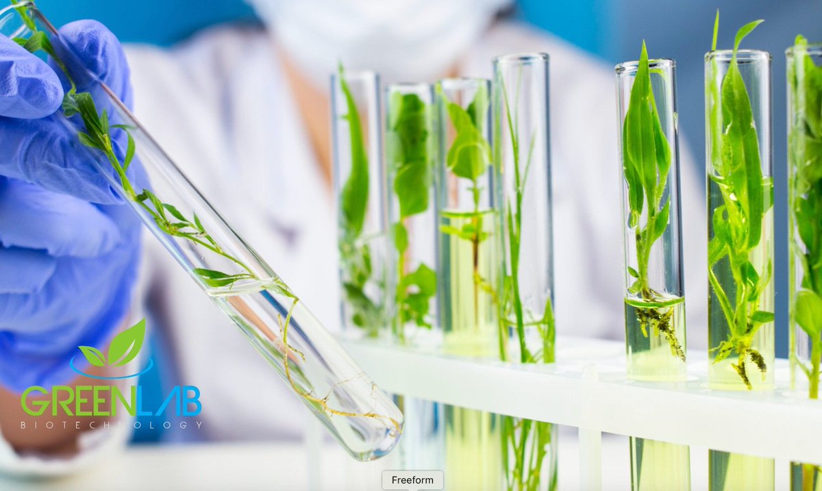 GreenLab Biotechnology tweet media
