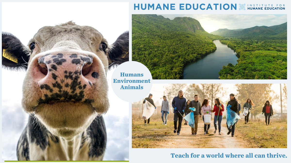 HumaneEducation's tweet image. The problems facing humans, animals, and the environment are related. The solutions are related, too. #TheWorldBecomesWhatWeTeach, so let&apos;s teach for a world where all can thrive together.

#HumaneEducation #Interconnection #SystemsThinking #SystemsChange #Solutinoaries