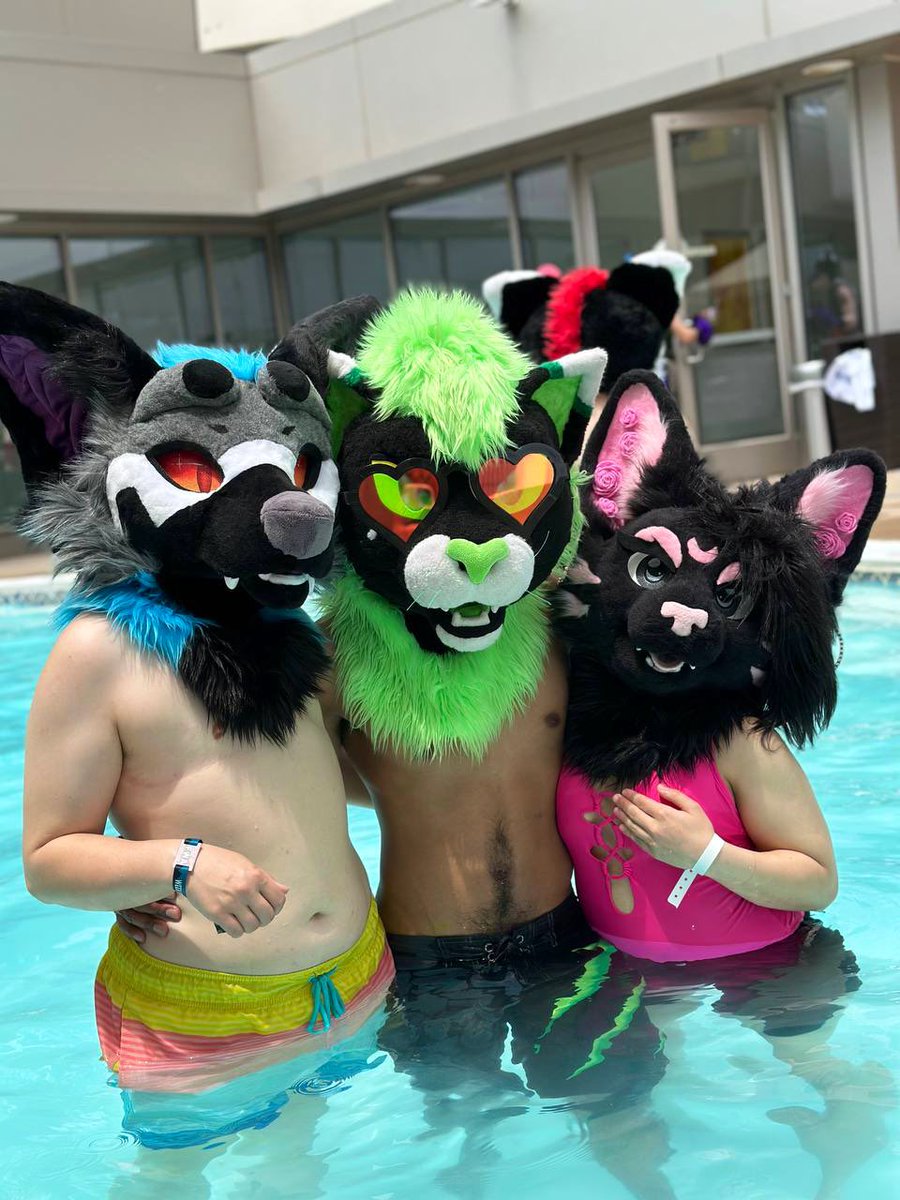 Teriyakiicat's tweet photo. AYOO come swim the water is LUKE WARM!! ⛱️💦 #Fursuitfriday
__
📸: @Spiralvro https://t.co/VwpMAMIRKv