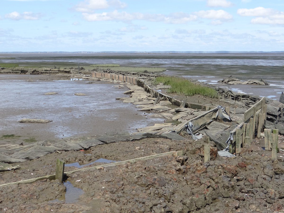 Défense des Milieux Aquatiques tweet media