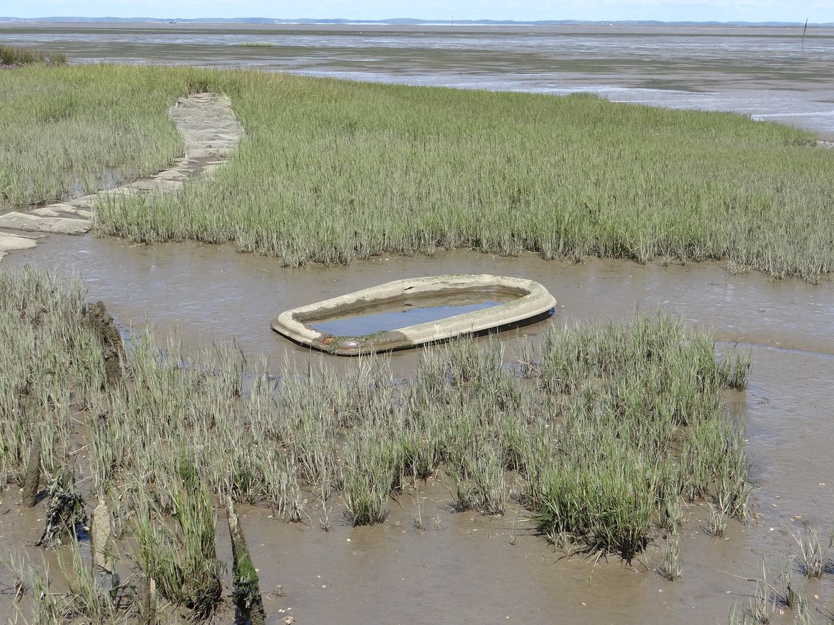 Défense des Milieux Aquatiques tweet media