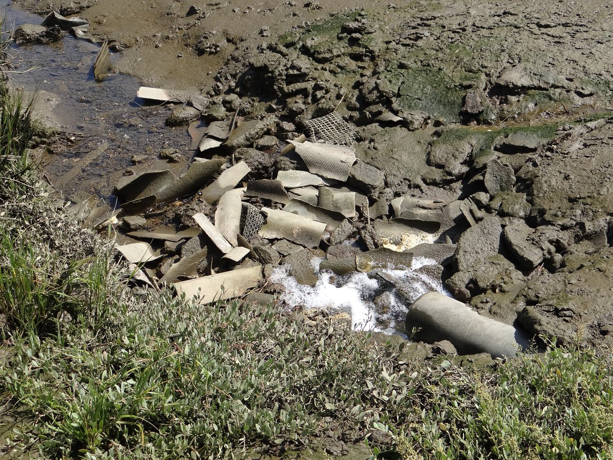 Défense des Milieux Aquatiques tweet media