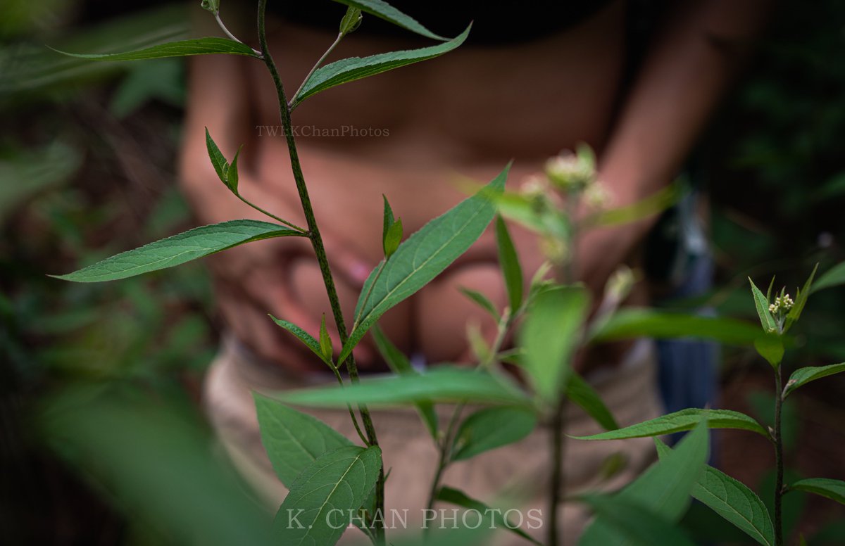 KChanPhotos's tweet photo. 武汉约拍，欢迎带照私信，随缘拍照随缘更新      
丛林秘事Secrets
摄影：@KChanPhotos
模特：@graphene2580 （绿衣） &amp; @3107qiushan （黑衣）
转推点赞后（需保留至少24小时）可私信解锁此条隐藏内容
 #天体 #暴露 #阴茎 #野裸 #私房约拍 #裸露 #男体写真 https://t.co/xZYolzEFql
