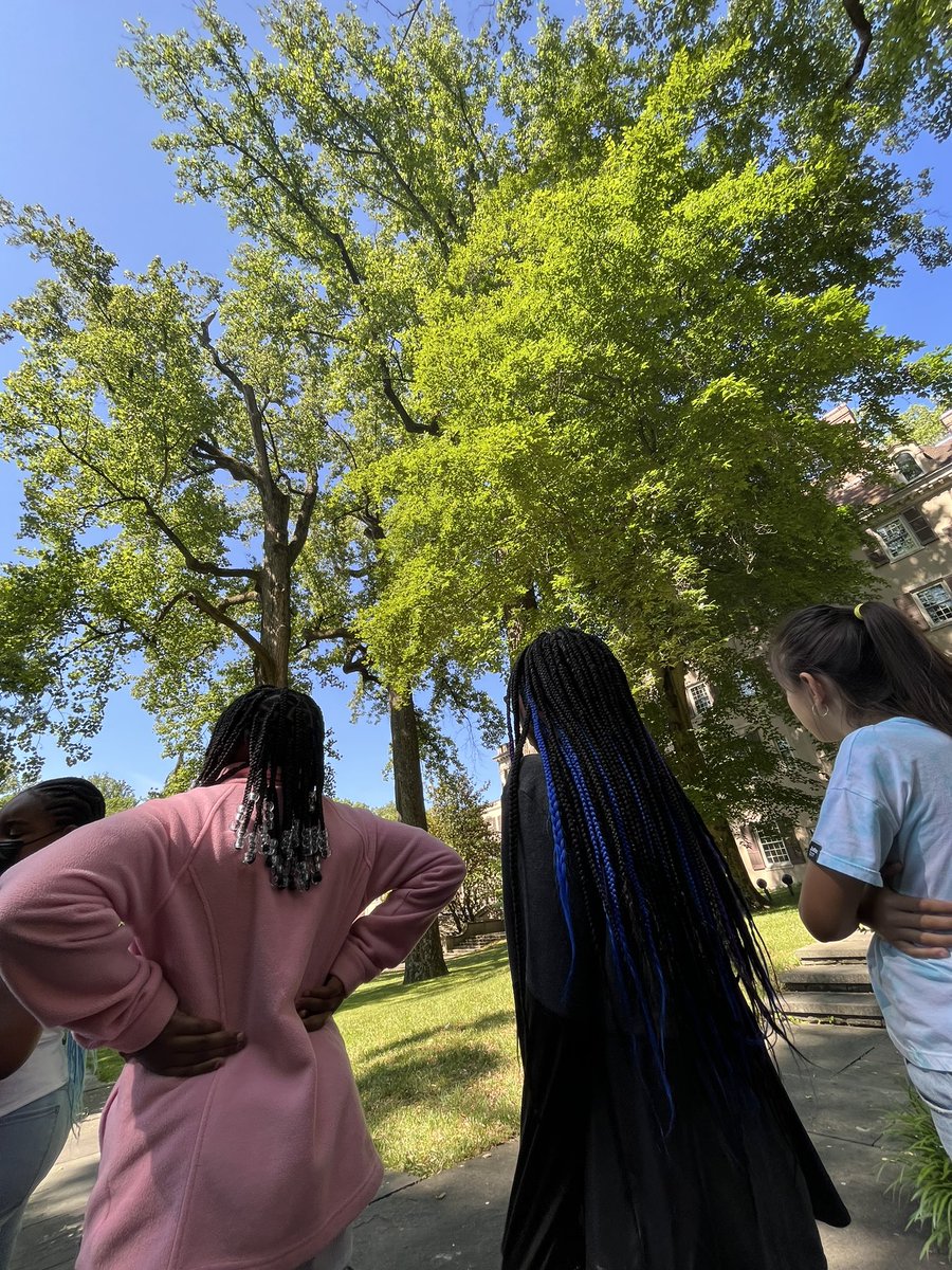 __MissQuinn's tweet photo. Admiring 200 year old trees at Winterthur 🌳🫢 https://t.co/MJ9NhKIyND