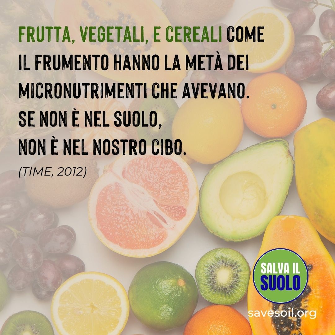 Il suolo è la pelle del Pianeta, pochi centimetri brulicanti di vita senza i quali non sarebbe possibile produrre il cibo necessario per l'uomo e gli animali. #SalvailSuolo