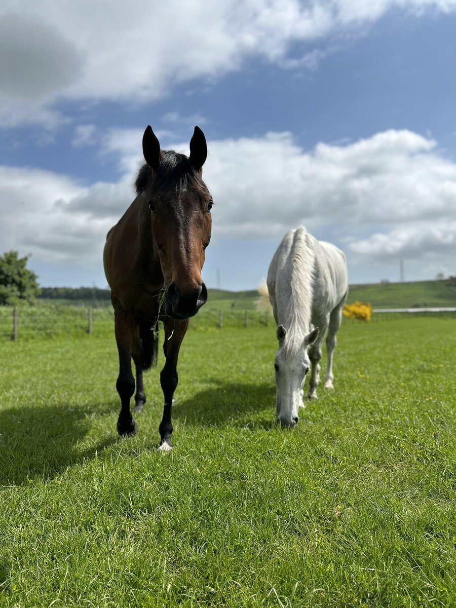 Catriona Bissett tweet media