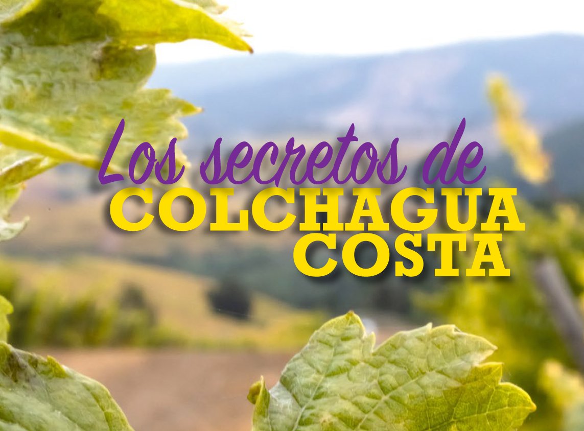 Compartimos esta interesante entrevista en la que participó nuestra enóloga Margerite Penot.

drive.google.com/file/d/1hg4Dej…