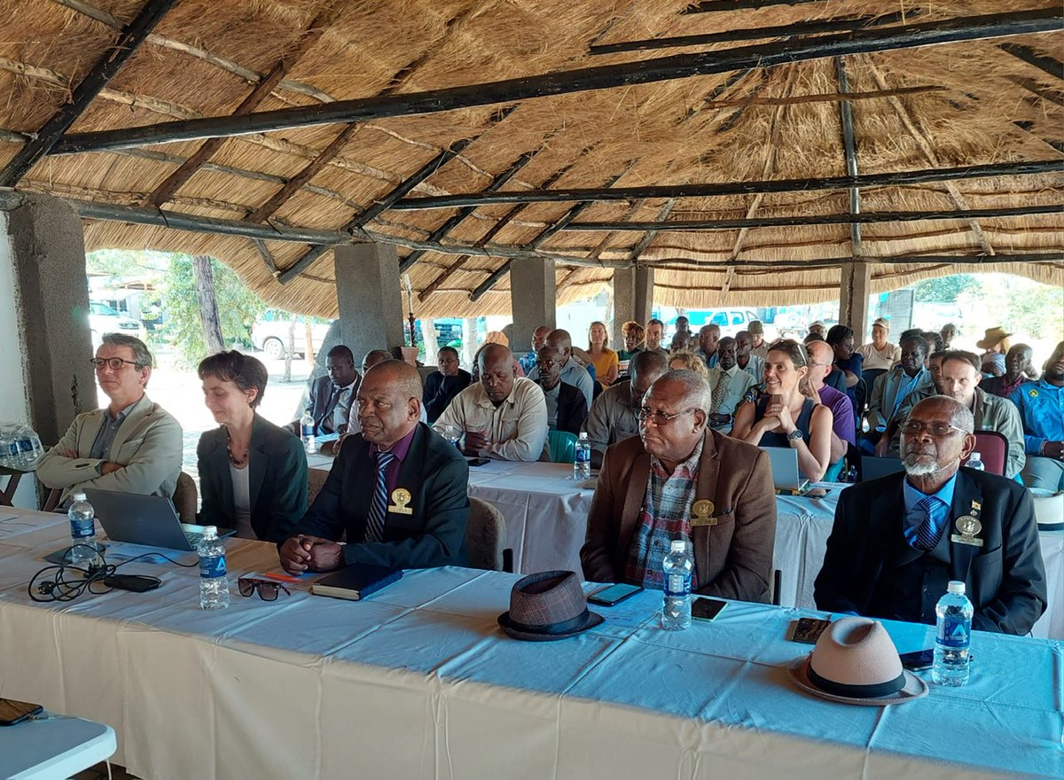 Cirad's tweet photo. The #FSPI #ISANGO project, launched today, is a community-based programme in #Hwange #Zimbawe funded by @FranceZimbabwe with #Cirad @ird_fr and @CNRS. It plans to create a knowledge hub for the coordination of all stakeholders in the region
#biodiversity #climate https://t.co/pNl7ALJGVs