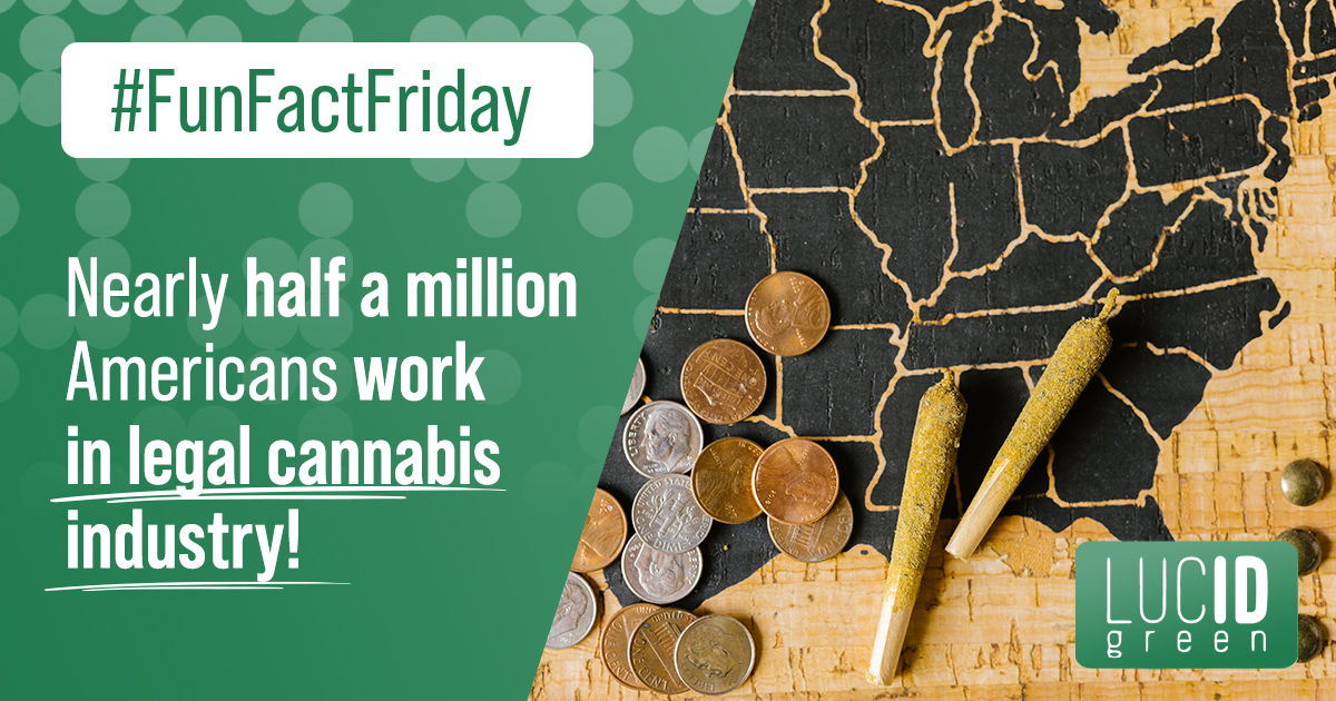 Did you know that nearly half a million Americans work in legal cannabis industry? 🤯 

That’s almost 160% increase since 2017, that’s what we call a booming industry. 🌿 🚀

#CannabisIndustry #CannabisEmployees #Americans #LegalCannabis #CannabisBusiness #LucidGreen #LucidID