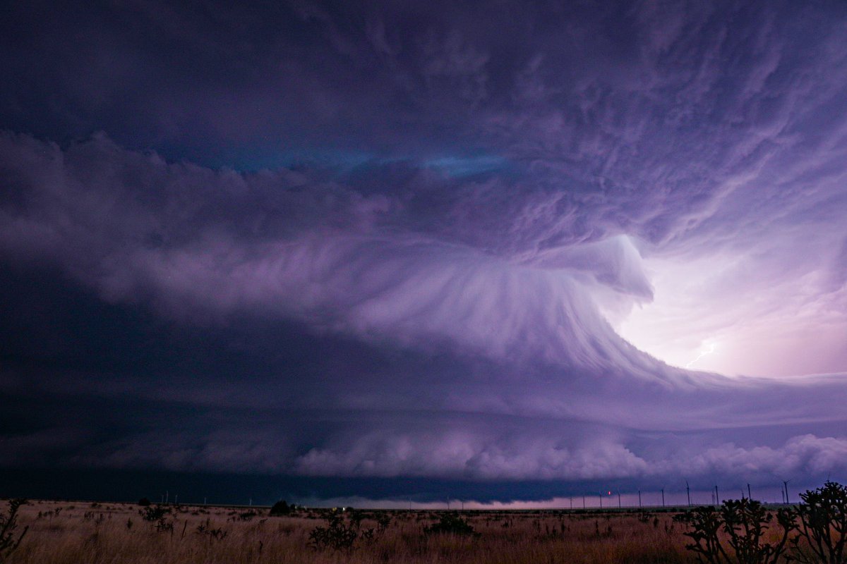 James Treft\, image size:1200x800