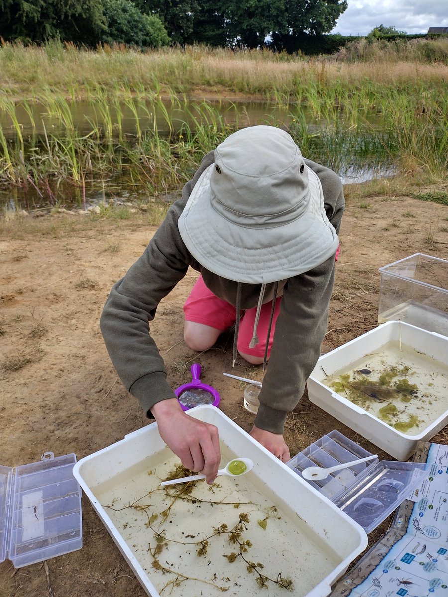 Habitat Heroes Holiday Club next Sunday 4th June 13:00 - 15:00 at Three Hagges Woodmeadow. More detail and how to book can be found here: woodmeadowtrust.org.uk/.../wha.../eve… Photo credit: Kara Garnett #ponddipping #escrick #halfterm #explorenature #explorenaturetogether #Meadow #york #selby