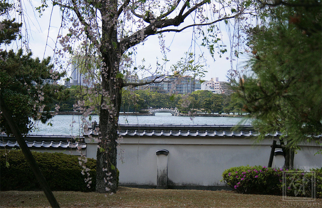 The view of a bridge in the distance across the water at Ohori Park is in Chūō-ku #Fukuoka, #Japan. (4-27-2011) #KevinPochronPhotography #kjpphotography 

#CanonFavPic #ShotOnCanon #Canon60D #Photography #Travel #Garden #park #water #trees