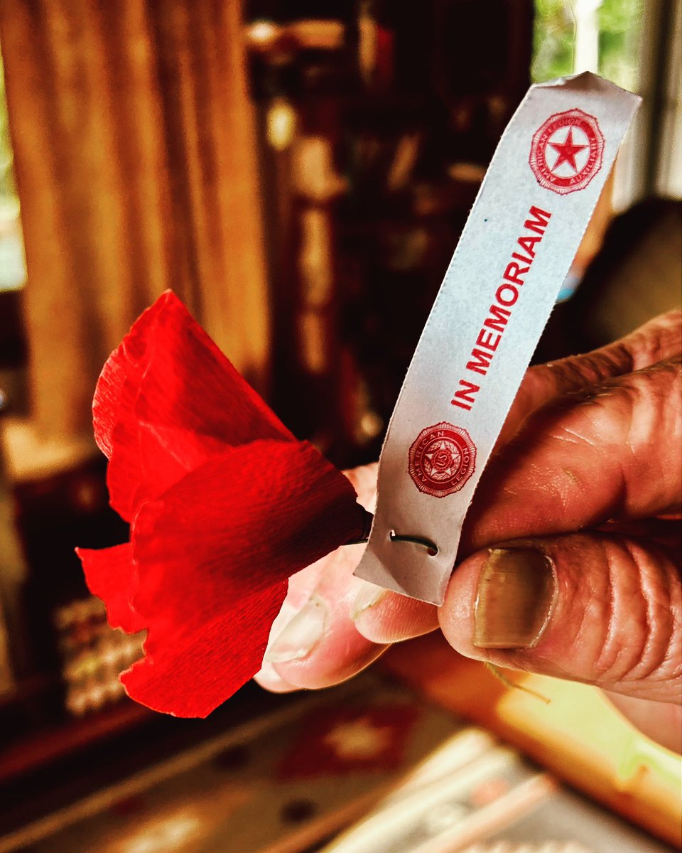 National Poppy Day… honor their sacrifice…