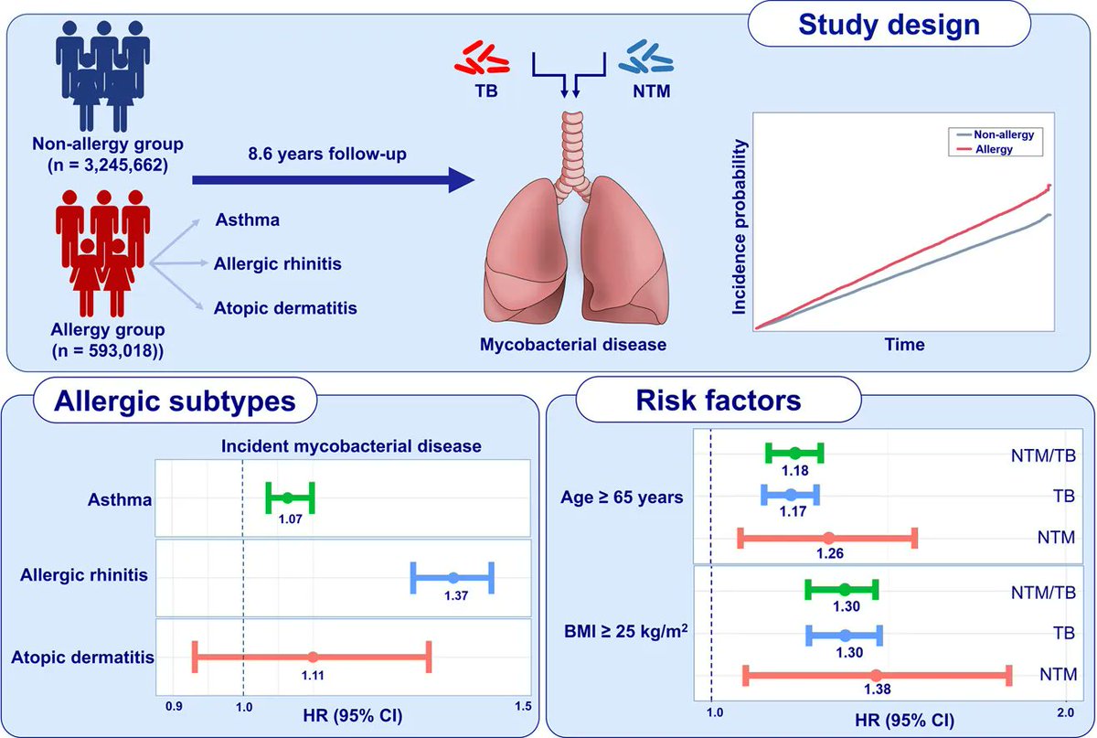 JACIInPractice's tweet image. In Press (FREE)! Impact of #allergic #disease on the risk of #mycobacterial disease buff.ly/3MYz6rb