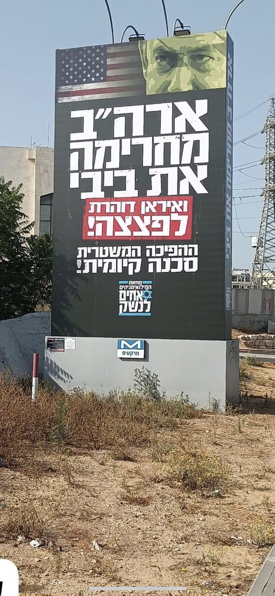 טלי גוטליב tweet media