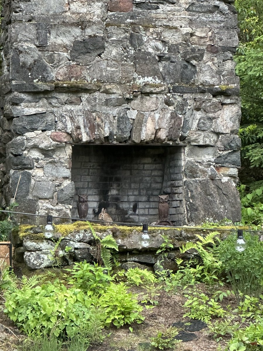 This bunny hanging out in the outdoor chimney is my new favorite yard friend, even if it does leave poop that my dog tries to eat everywhere.