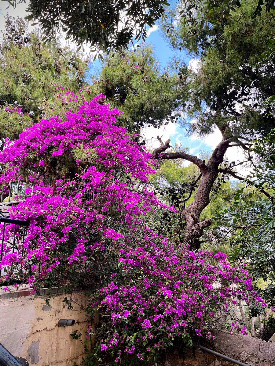 feels good to be back in Athens and back in action! 🇬🇷
#greek #Archaeology #Αθήνα