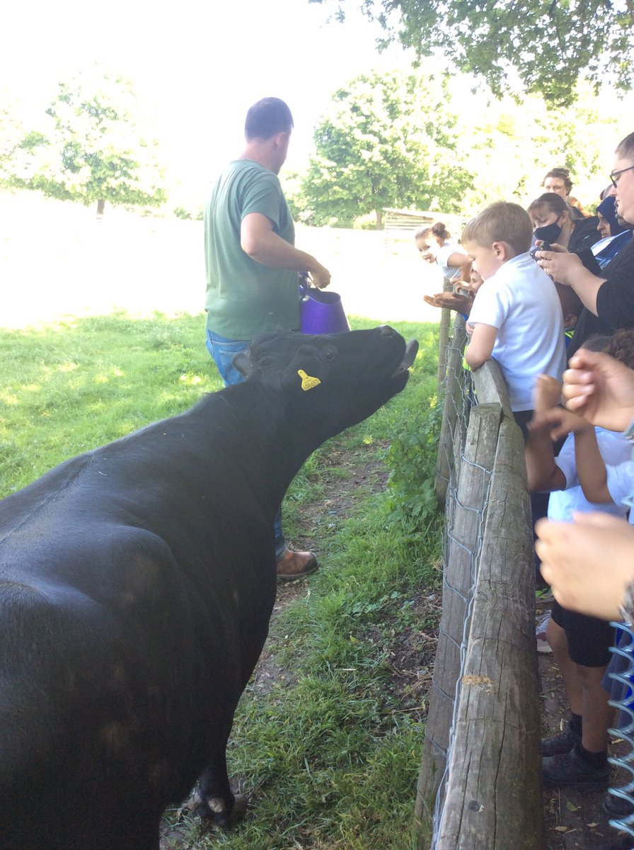 Foxfield Maple Class tweet media