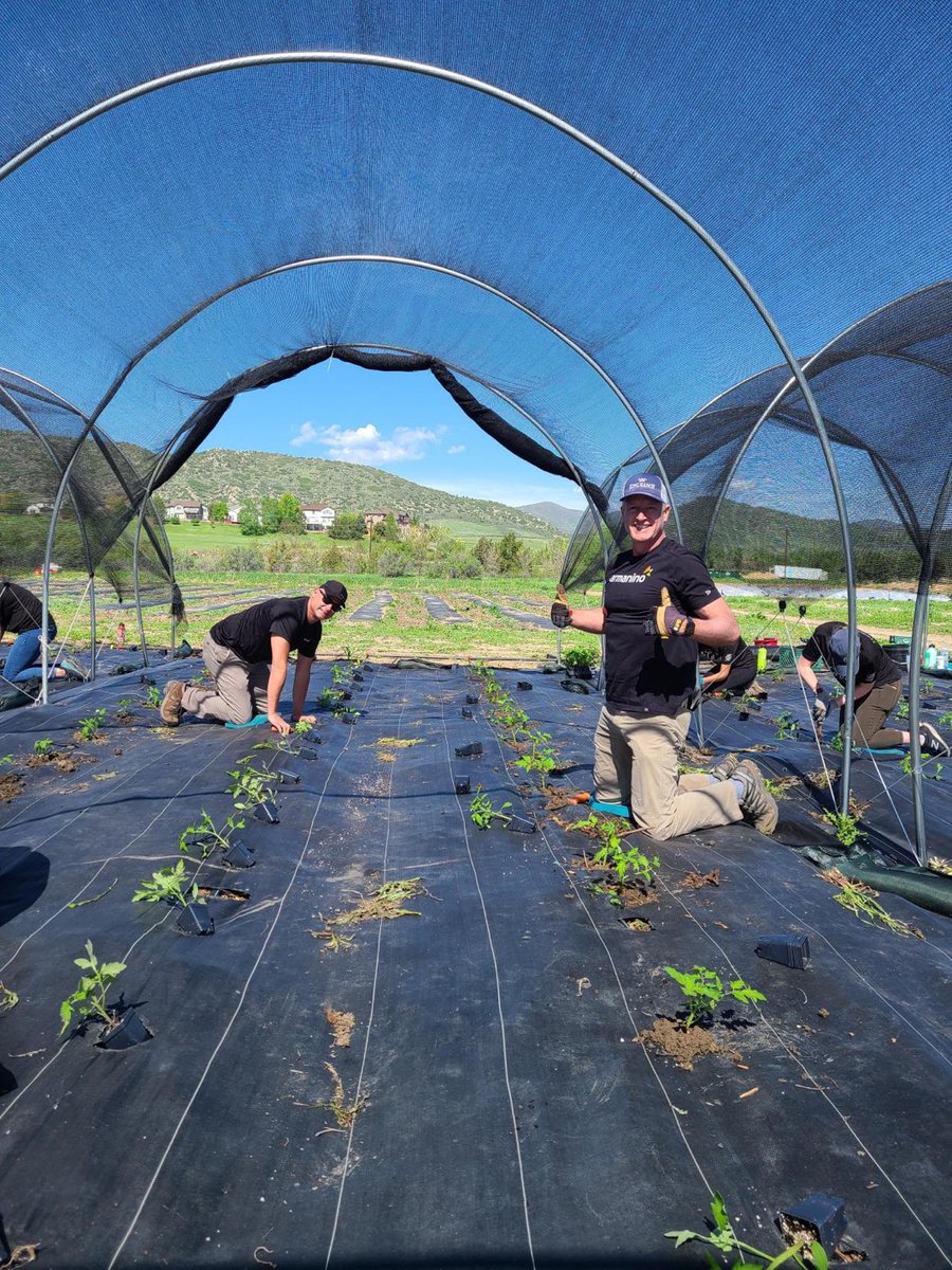 marmanino's tweet photo. Yesterday was the 15th Anniversary of @ArmaninoLLP's Great Give where we close for an amazing day of community service. I helped out at @denverbotanic's Chatfield Farms. The positive impact &amp; connection are what makes this day so special.

#ArmaninoGreatGive #ArmaninoFoundation https://t.co/9RHPmTXr0B