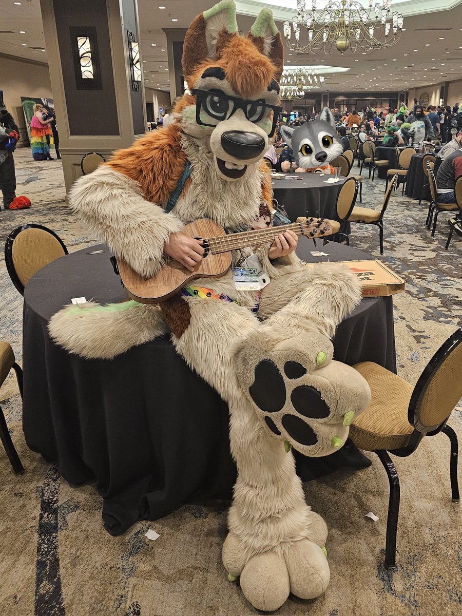 This husky is here to serenade you! Awoowoowoo 😋

#FursuitFriday
📸: <a href="/DrakeKangaroo/">D R A K E 🔜 FC</a>