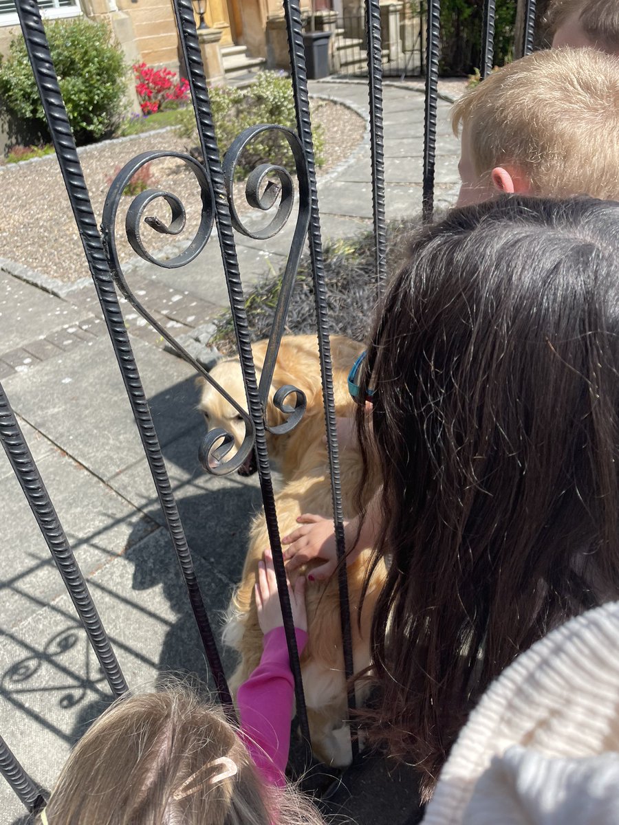 Miss Harvey and P2H tweet media