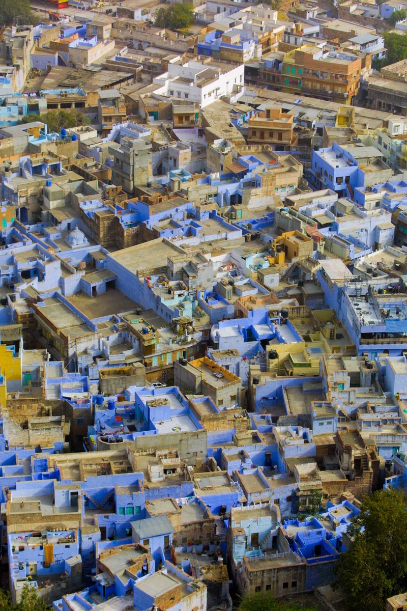 The “Blue City” of Jodhpur  #india

#city #rajasthan #blue #panorana #bluecity #jodhpur #blu #città #colors #color #colori #oldcity #indiatravel #visitindia #rajputana #lordshiva #mehrangarhfort #house #casa #buildings #jaswantthada #traveltheworld #traveling #cityphotography