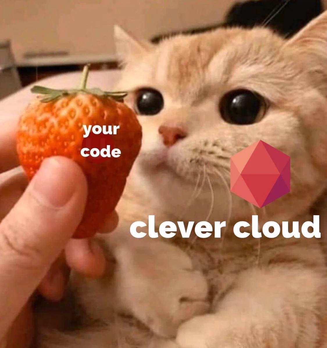 Un petit chat, sensé représenter Clever Cloud, n’a qu’une hâte : prendre soin de “your code”, ici sous les traits d’une appétissante fraise qu’on agite devant lui. Nous aimons les fraises, les petits chats, et nous occuper de votre code.