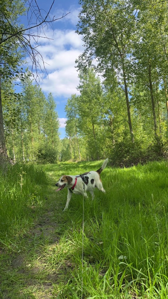 Touching grass