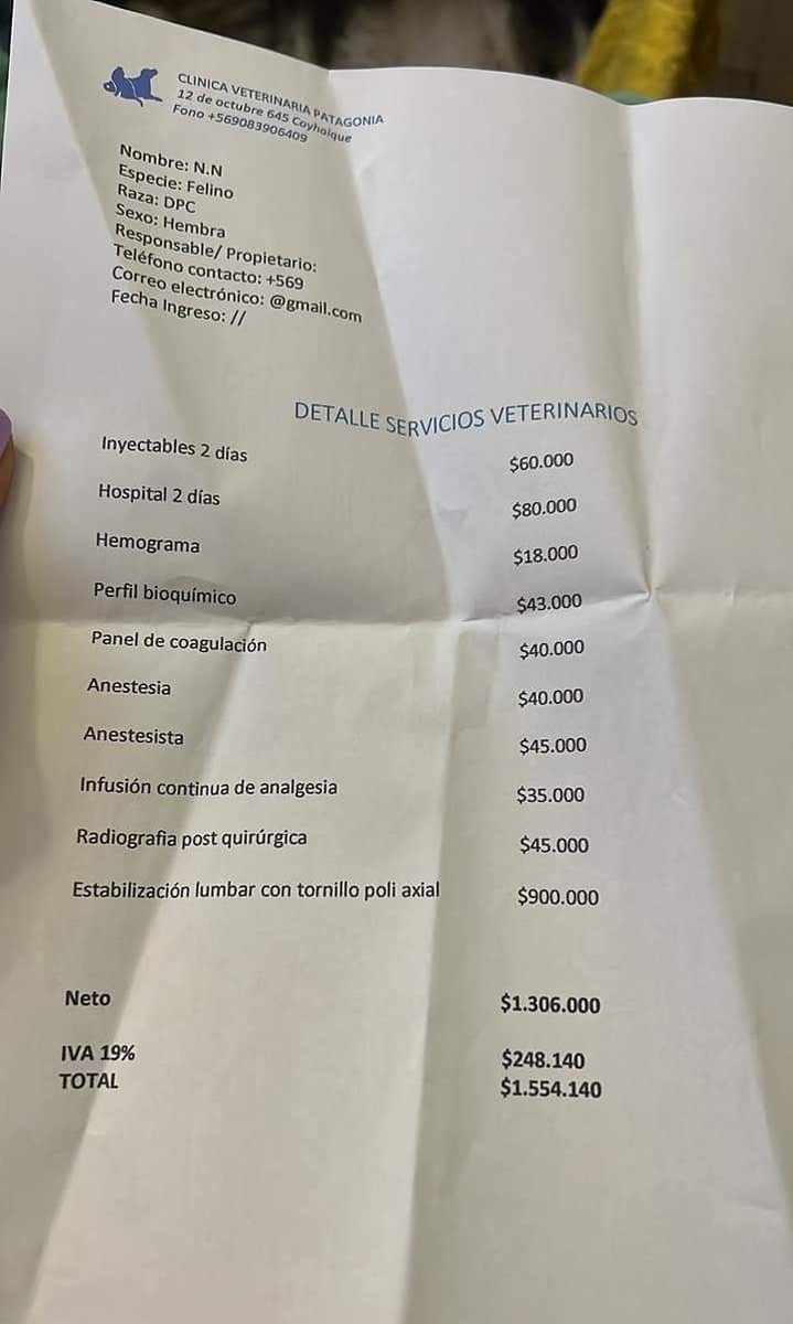 ina_perejil's tweet photo. Necesita urgente una cirugía de estabilización de su columna, ya que sufrió una luxación de una de sus vértebras, adjunto el presupuesto ($1.554.140) y esto le permitiría rehabilitarse y tener una buena vida. https://t.co/EMEo6QzUxS
