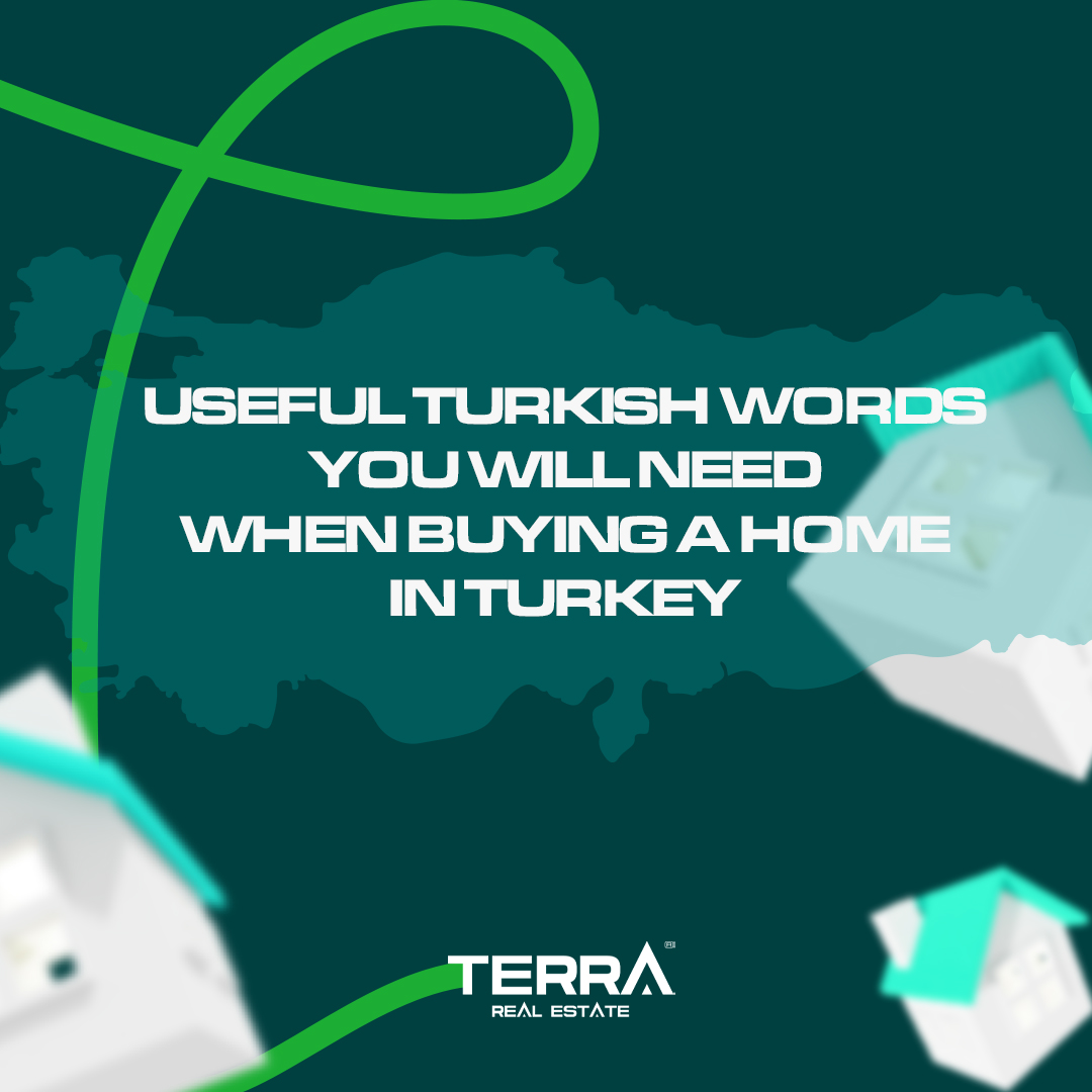 Searching for a residence in Turkey? Here are some useful Turkish words and phrases to help you navigate the process with ease!

🌐 Go to the link below to visit the relevant blog content.
terrarealestate.com/news/some-turk…
#terrarealestate #turkey #turkishvocabulary #turkishphrases
