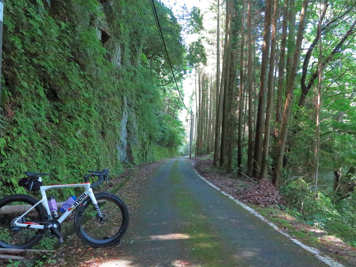 sato_nitinansi's tweet photo. #高千穂 #サイクリング 。
#uipan さんでおやつ。美味しゅうございました♪
#cinelli
#pressure
#リハビリ中 https://t.co/MXqkIUXD7I