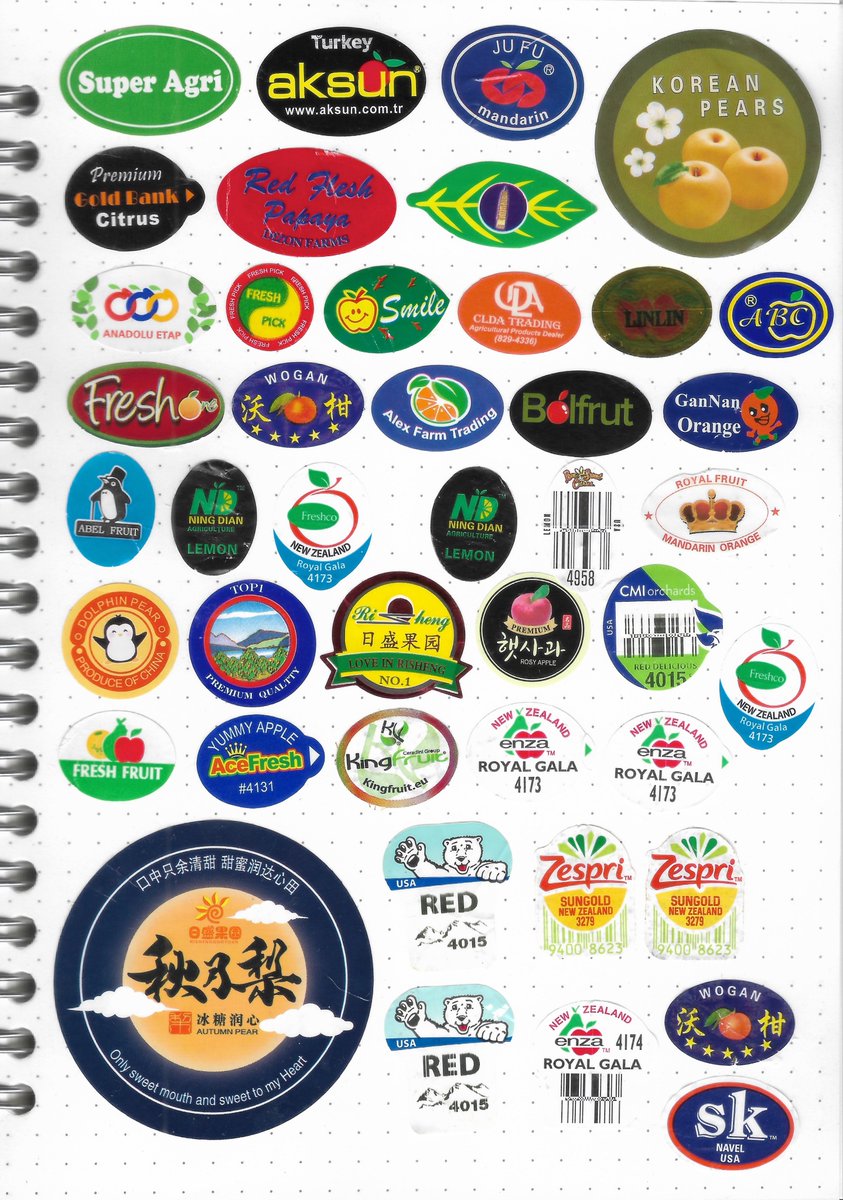 happy to announce that i've finally completed two pages of my fruit sticker collection!🍎🍊🍌🍐🫐🍇