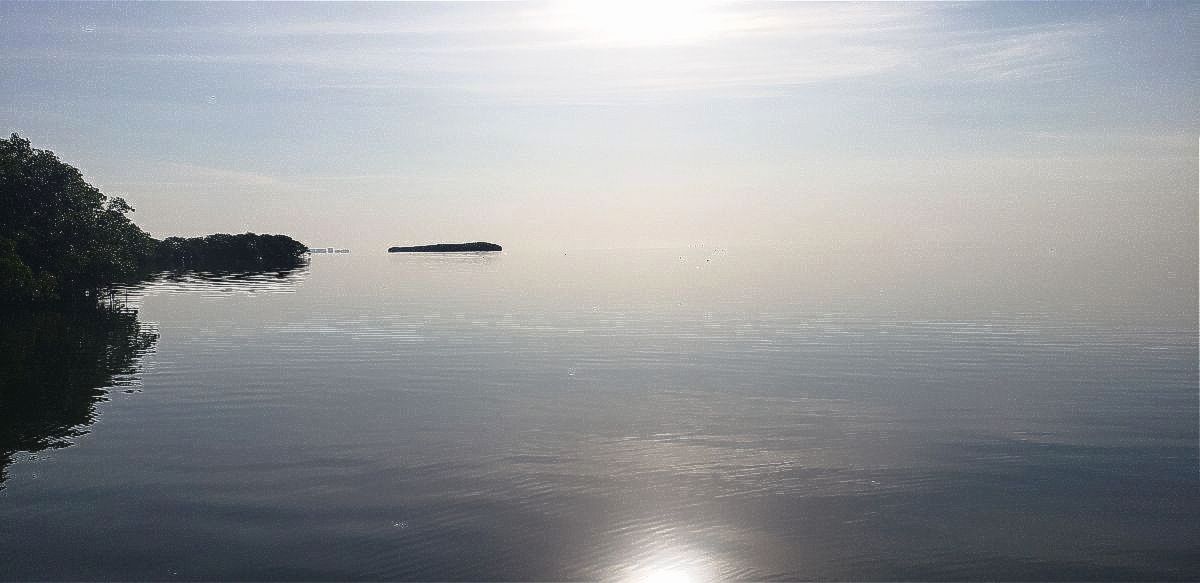 Artificial Mindfulness🤔 AI should be used as an aid, not as a substitute for personal effort &amp; practice. So, keep a close eye &amp; ‘I’ on what is happening with #AI in general &amp; with #mindfulness mailchi.mp/027da7478f69/a…
#fridayfeeling #mentalhealth #fridaythoughts #motivation