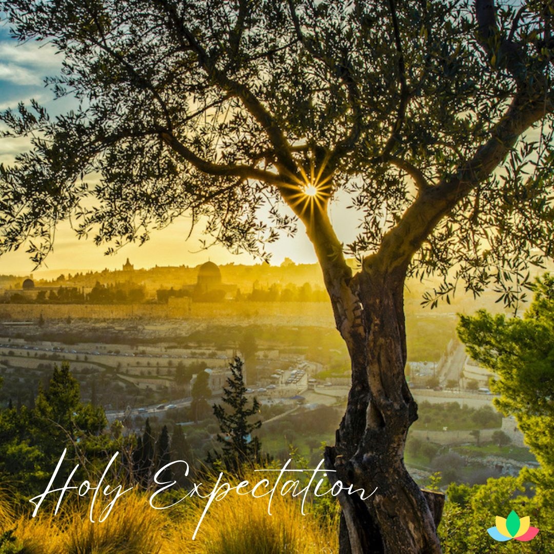 In the days between Jesus's Ascension and Pentecost, it is such a wonderful time to meditate on the longing and expectation the disciples felt. Visit our Facebook or Instagram for a longer meditation. <a href="/plantanglican/">PlantAnglican</a>

plantanglican.org