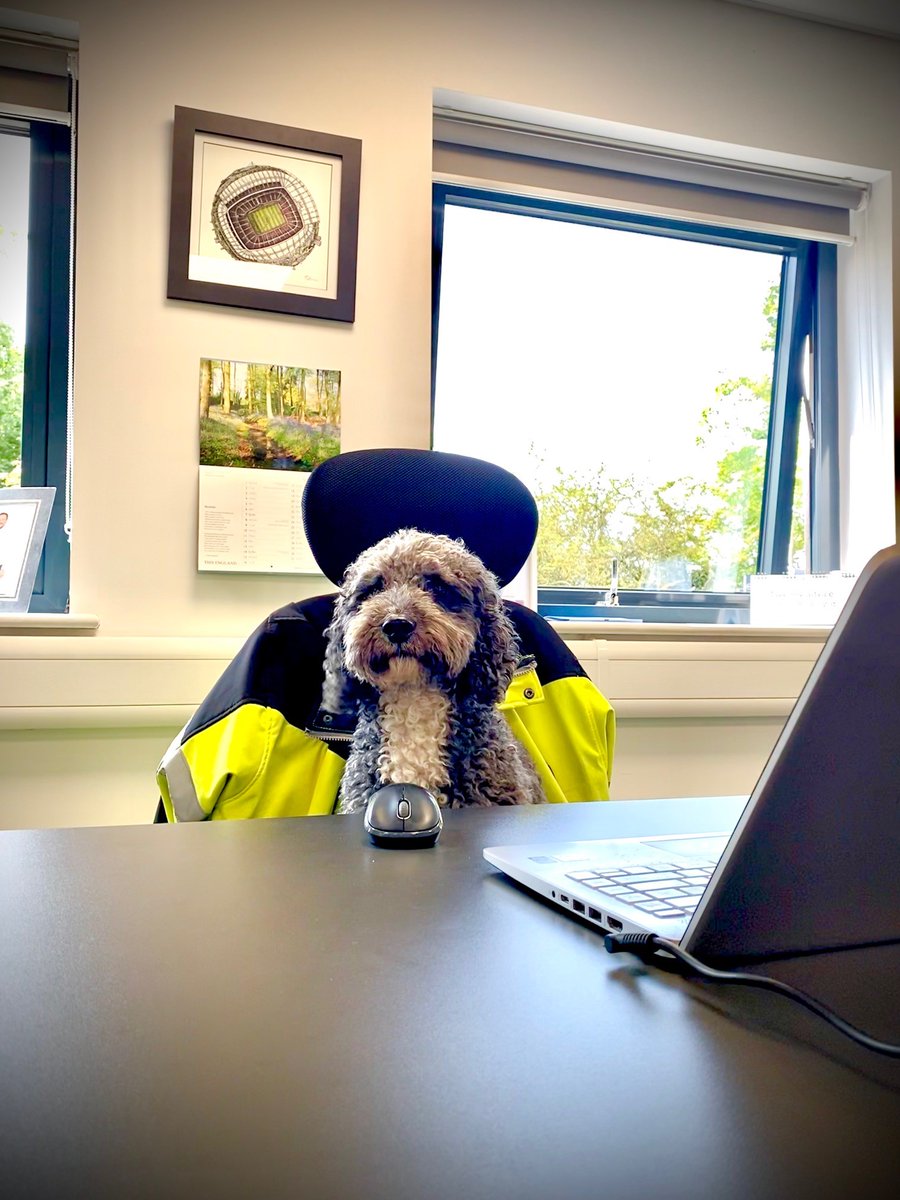 The TOP DOG is in work today, he's just finishing off some emails after a morning in the Yard. It's a dog's life ... 🐶