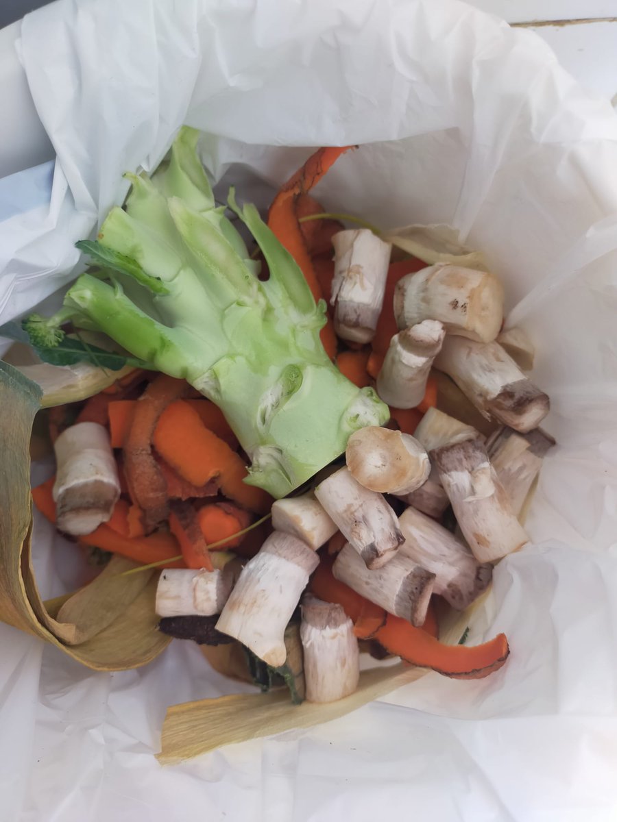 Un tronco (más) de brócoli 🥦 que acaba en la basura

¿Tú eres de los/as que lo tira o lo aprovecha?

Cocido tiene gran sabor y queda muy rico. ¡Anímate a probarlo!
#Brócoli #FrenarelDesperdicio #Ideas #Recetas #Aprovechamiento